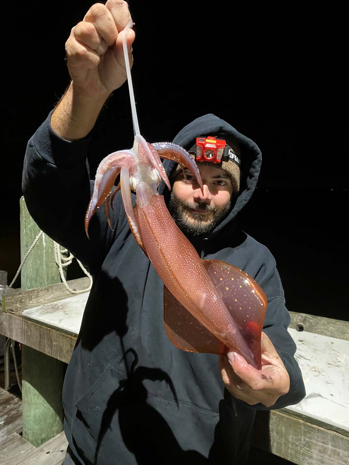 Luminous Squid Jig Hook Deep Sea Glow in Dark Underwater Catch Fishing Lure  Bait