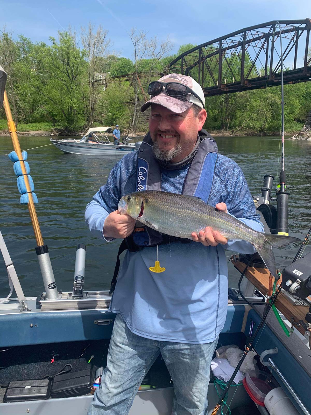 Spring Shad Fishing at Knights Eddy - a little known secret on the Delaware  River