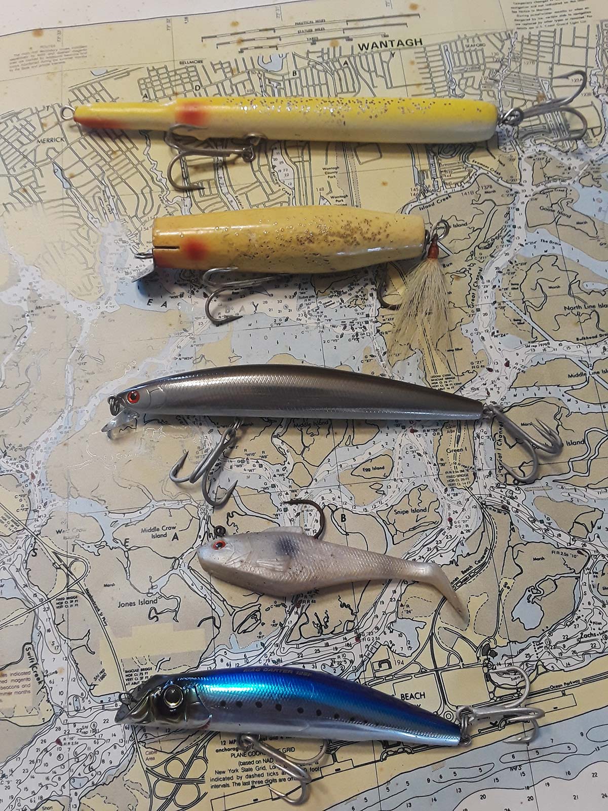 Surf: Five Baits For Backwater Bass - The Fisherman