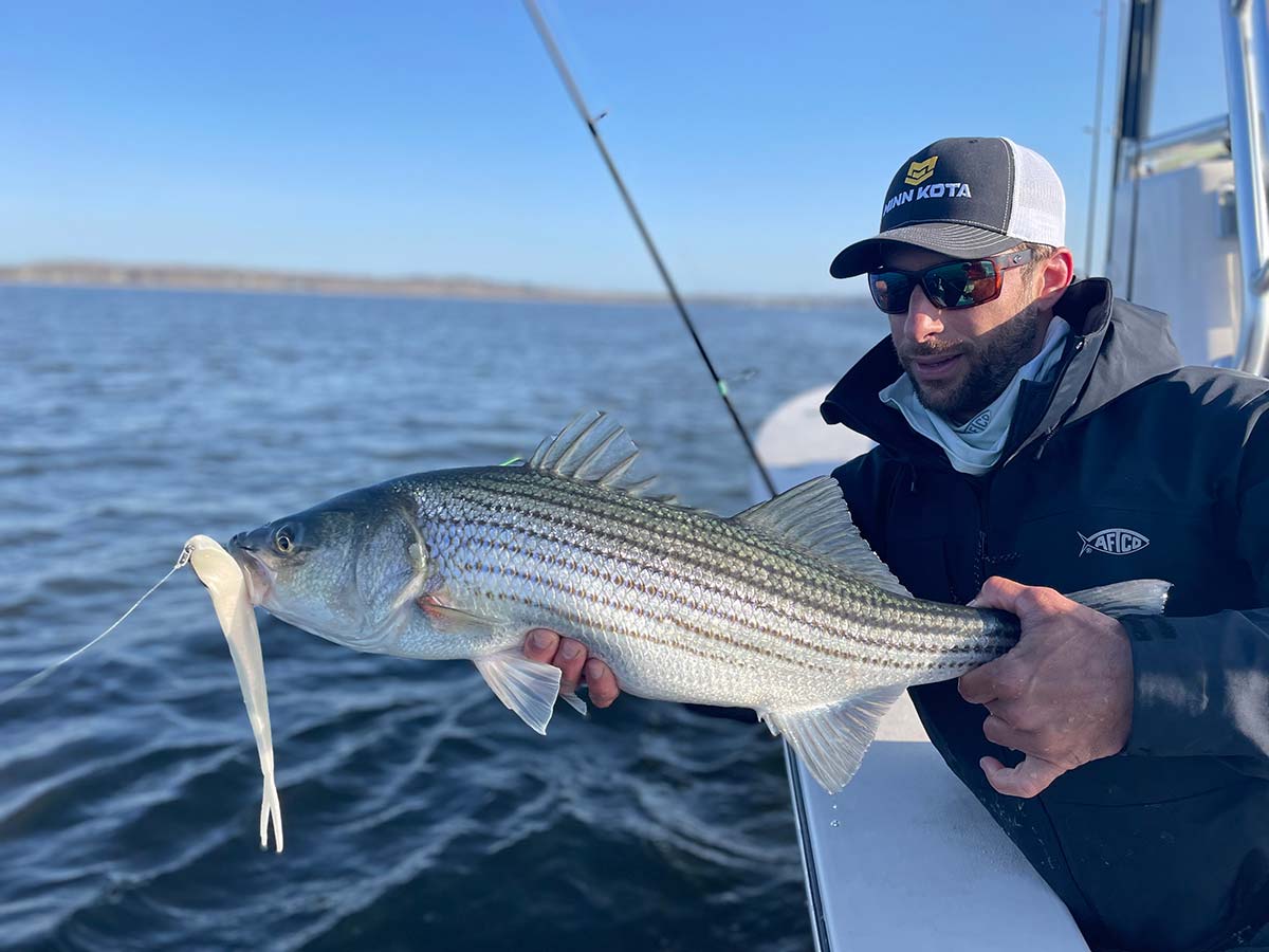 Going Soft: For Striped Bass - The Fisherman