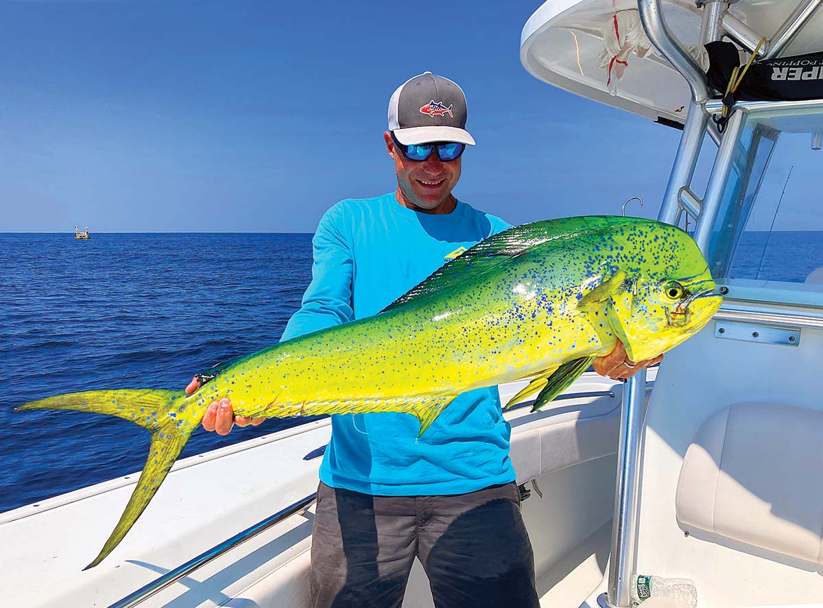 Mahi On The Move: Searching For Summer Migrators - The Fisherman