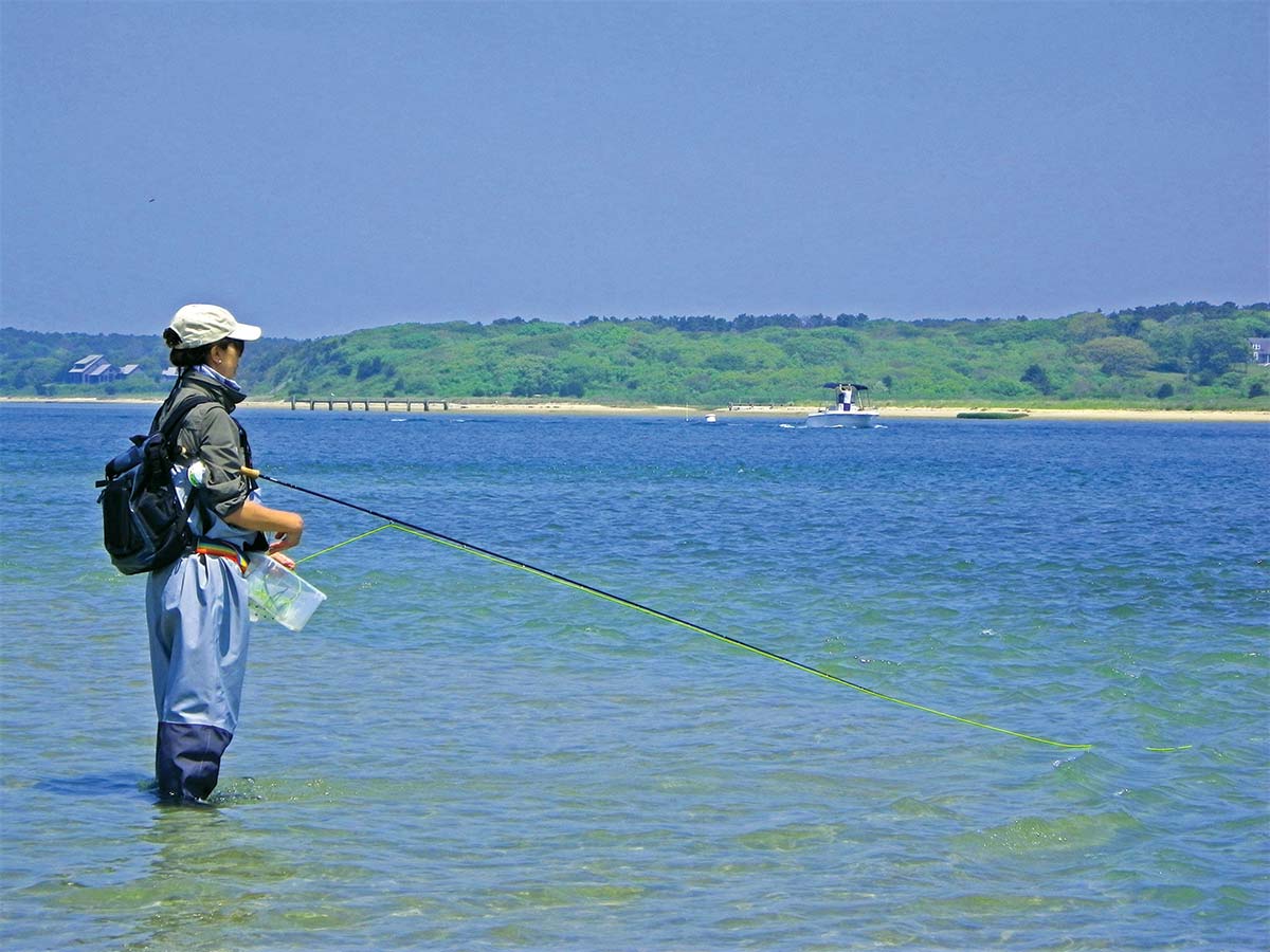 Flying On Land: 12 Tips For Fly Fishing The Surf - The Fisherman