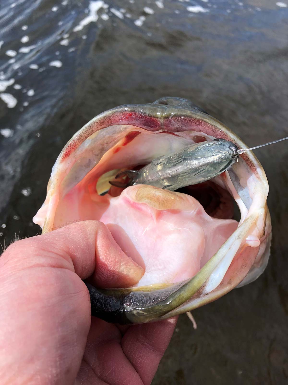 Freshwater: Low Pressure Means Big Baits - The Fisherman