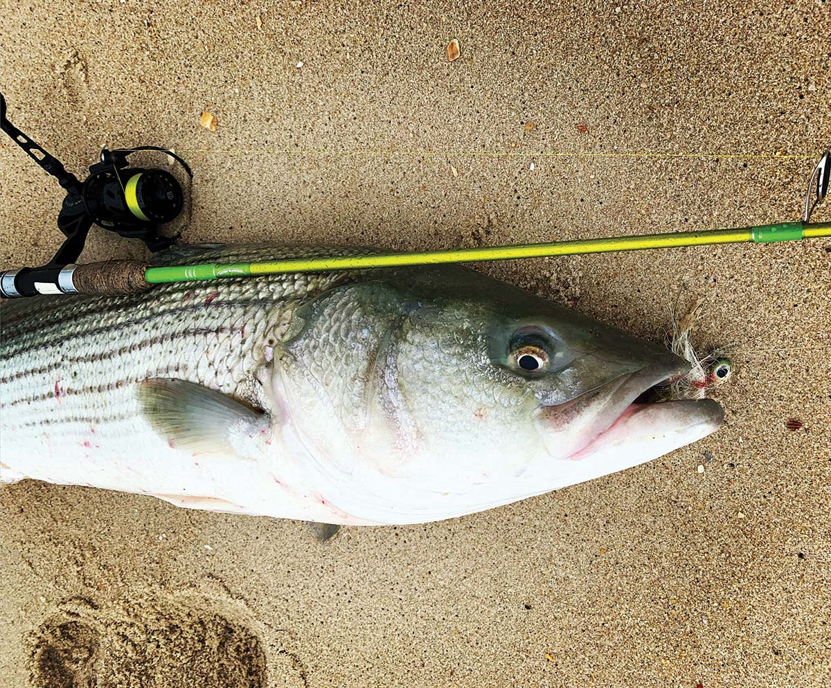 Fishing a JIG From the BEACH and Caught THIS! 