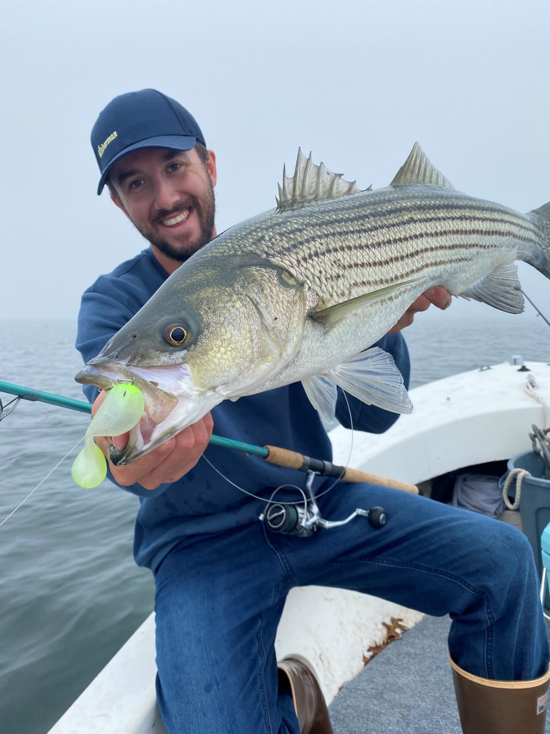 Unsettling Video Shows Breeding-Class Stripers Trapped in Seine Nets in  Chesapeake - Flylords Mag
