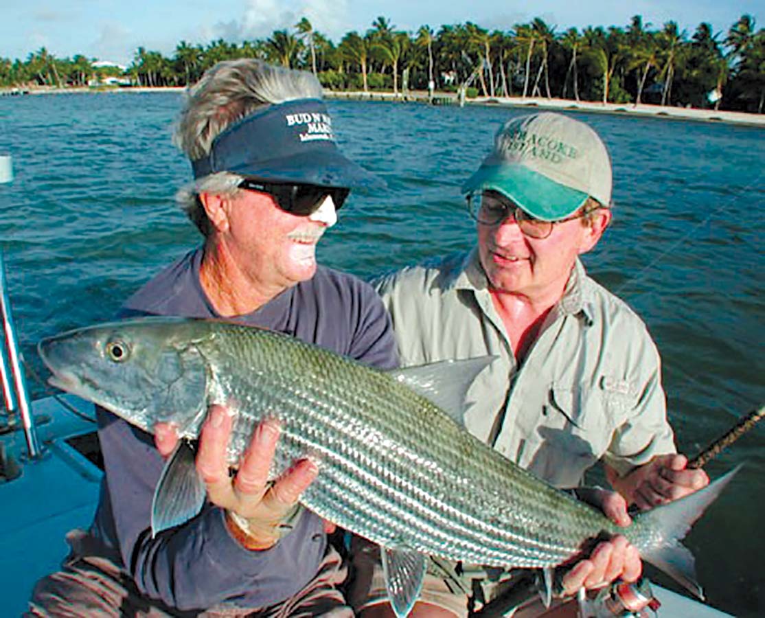 Even tarpon can go for bargain brand