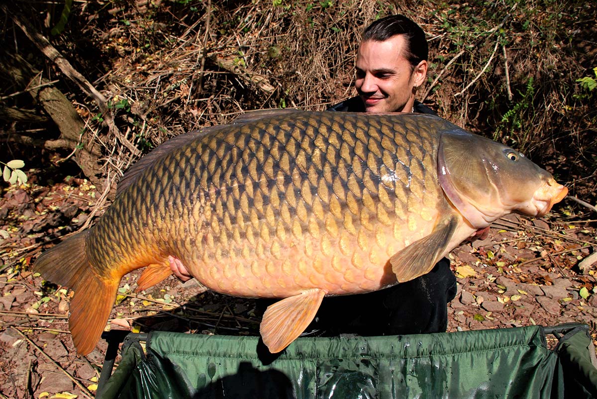 Bread is one of the best carp fishing baits of all time – here's