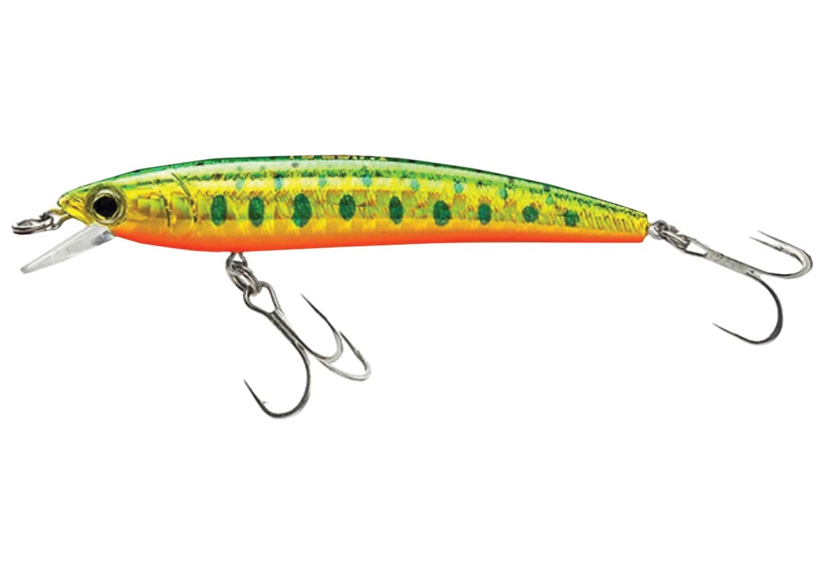 Top 5 Winter Trout Fishing Baits 
