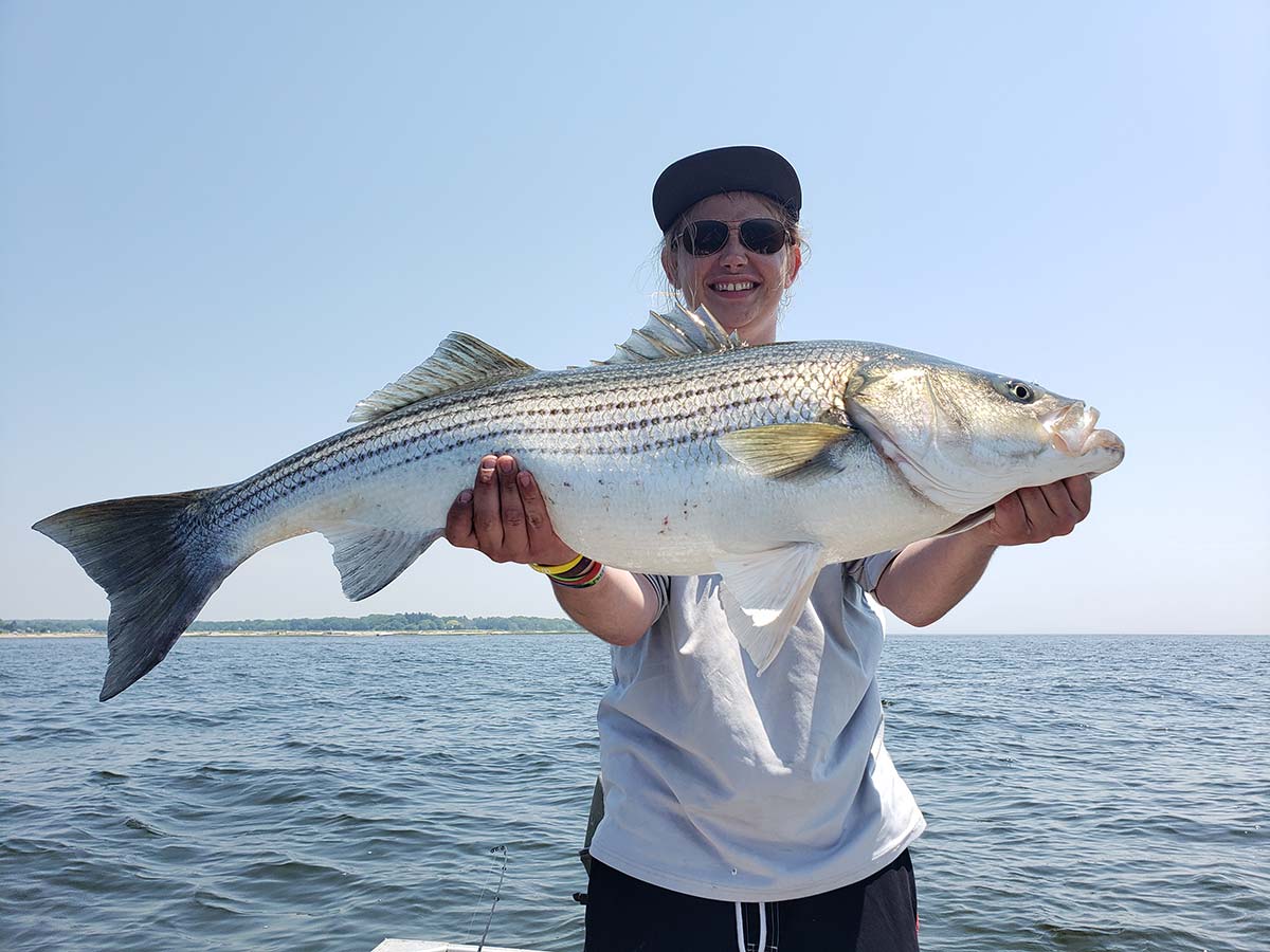 Full Day Portland, Maine Inshore Striped Bass Fly and Light Tackle