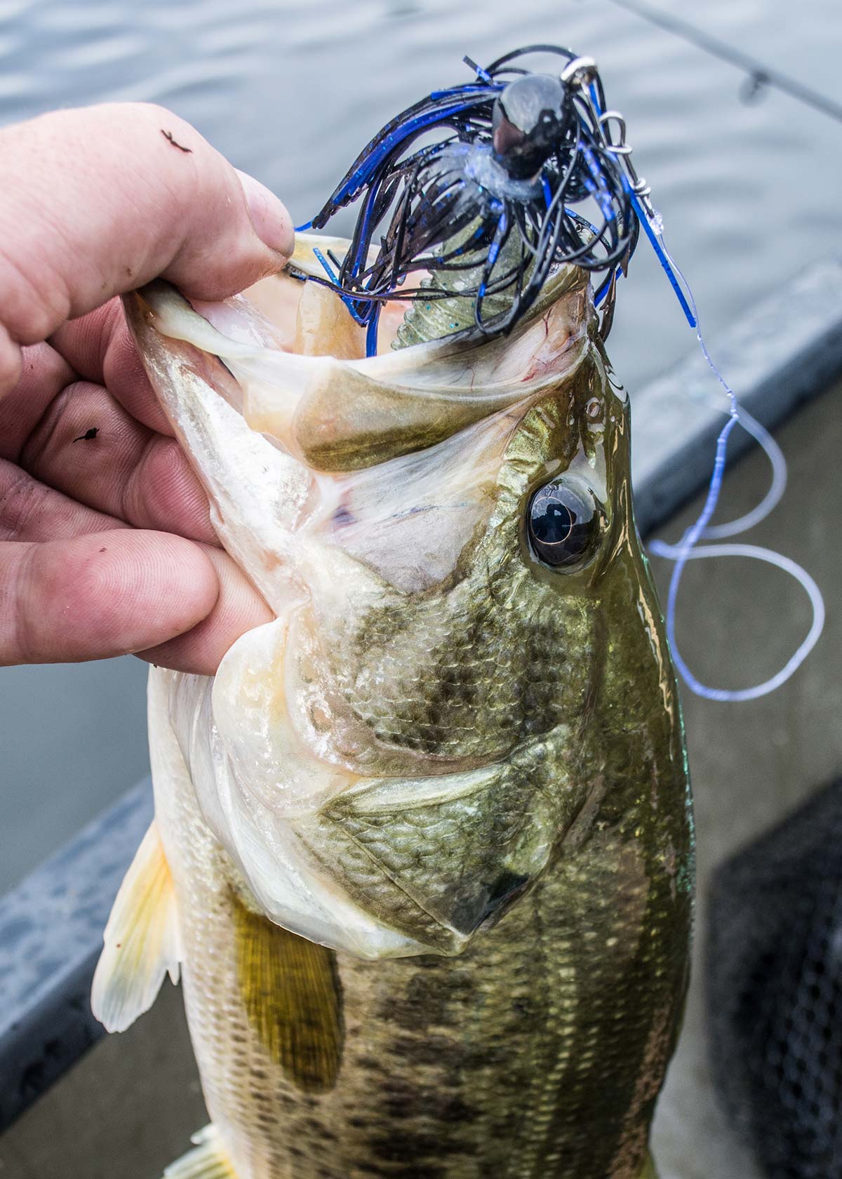 How to catch MORE bass with a chatterbait (BEST TRAILERS) 