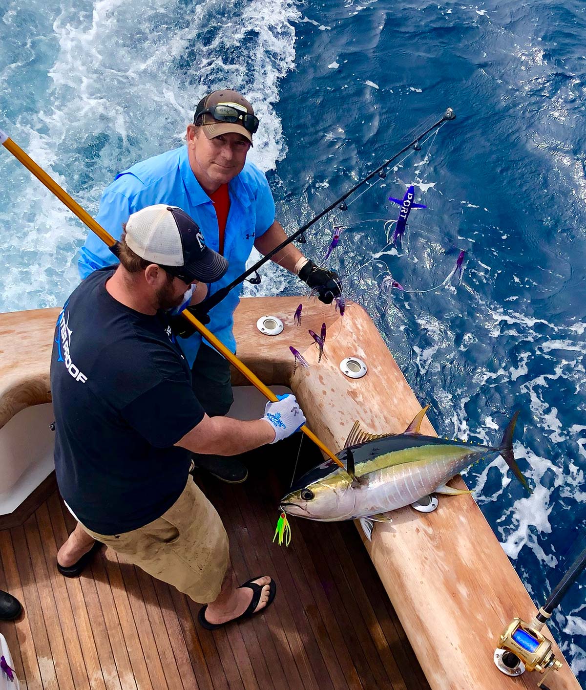 Shape, Size & Color: Planning Your Tuna Tracker Selection - The