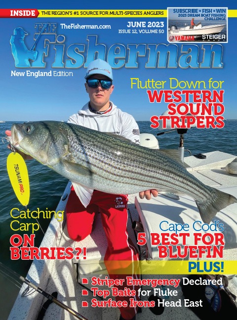 Best For Bluefin: The Cape Cod Top 5 - The Fisherman