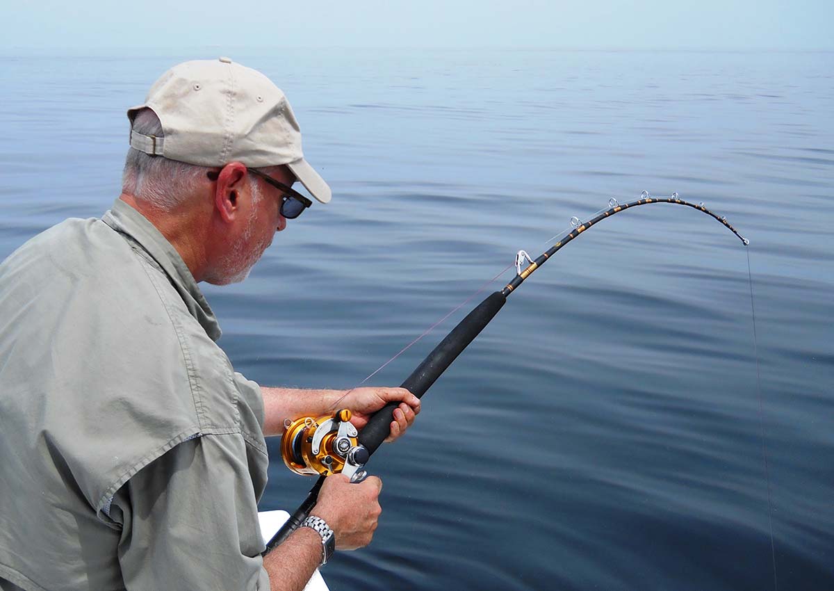Anglers Fishing Tackles POPPING ROD - RODS