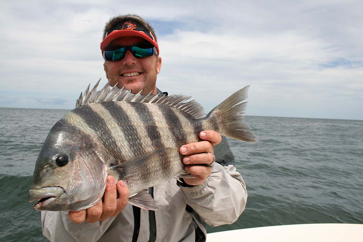 Effective Sheepshead Fishing Technique They Don't Want YOU to Know