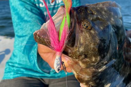 Party Boat Fluke: Limits And More - The Fisherman