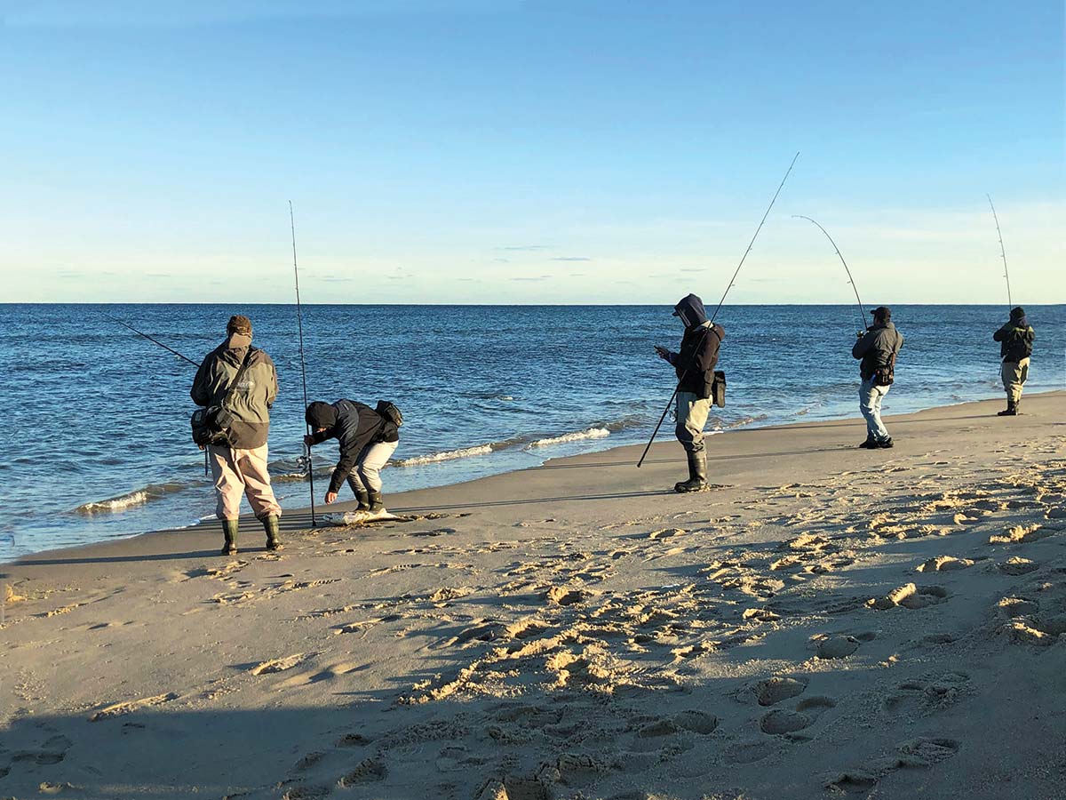 On The Run: Down The Striper Coast - The Fisherman