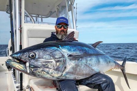 A New Spin on Tuna Tangling - The Fisherman