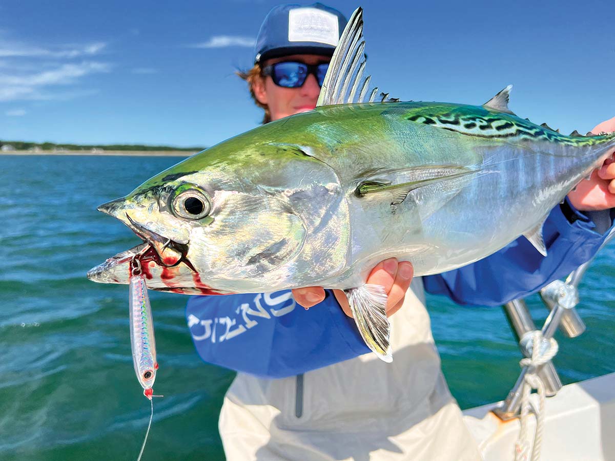 Porgy on jigs ?  NorEast Fishing Forum
