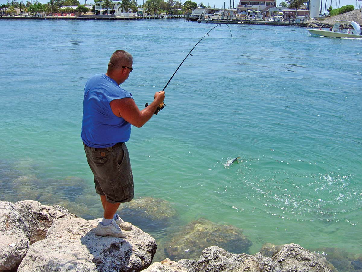 Selecting the Best Rod and Reel for Surf Fishing - Take Me Fishing