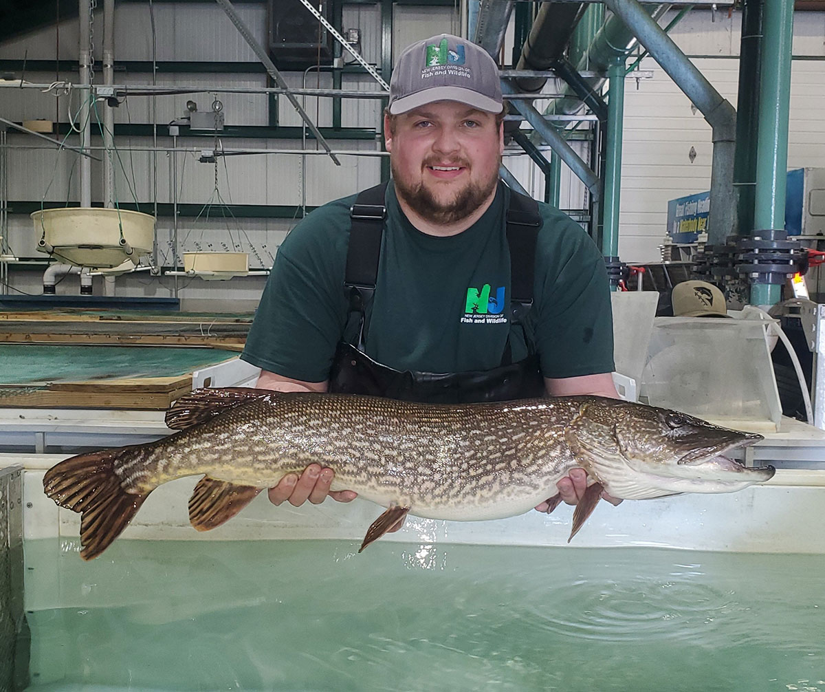 Winter Options? Hit The Pike, At Home, In Jersey! - The Fisherman