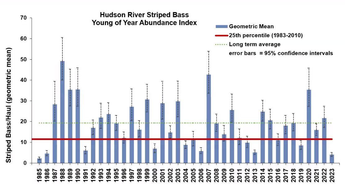 Hudson River Boasts Above Average Striped Bass Recruitment in 2022 - The  Fisherman