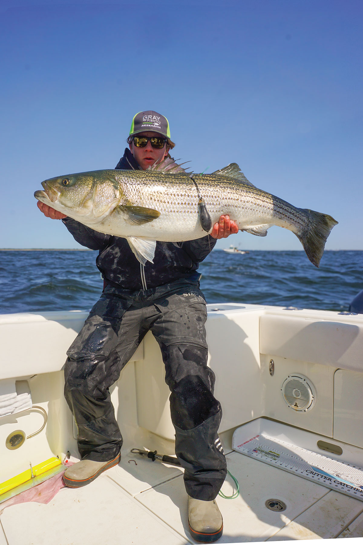 23 Numbers Are In: Northeast Striped Bass Study - The Fisherman