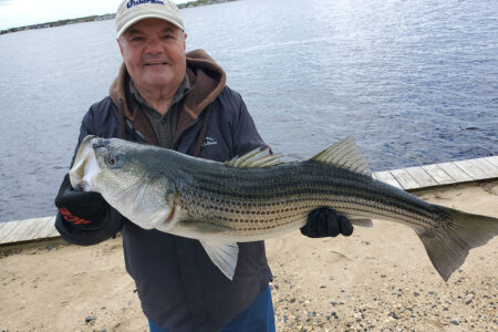 Nova Scotia: Stripers of the Northland - The Fisherman