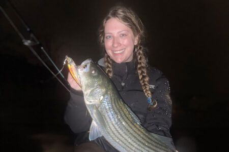 Helping The Striped Bass Fishery Through Satellite Tagging