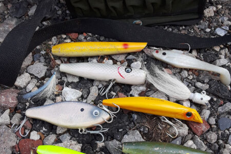 Dream Chaser Lures