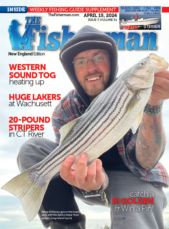 The Effective Anchovy Setup - Island Fisherman Magazine